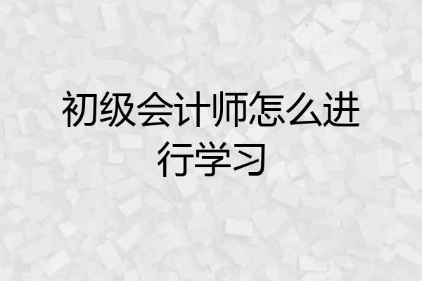 初级会计师怎么进行学习