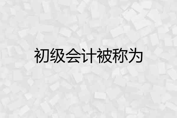 初级会计被称为