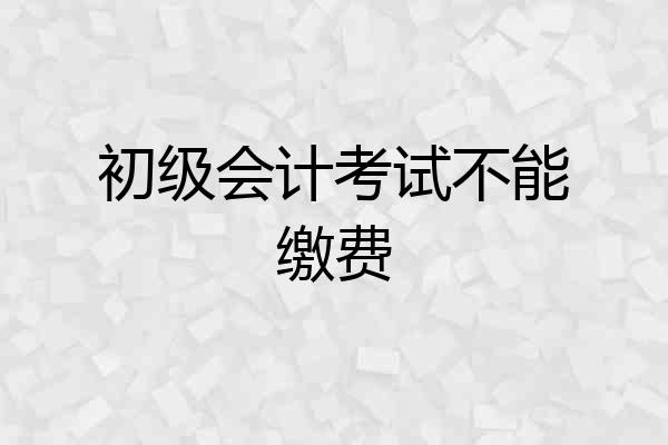 初级会计考试不能缴费
