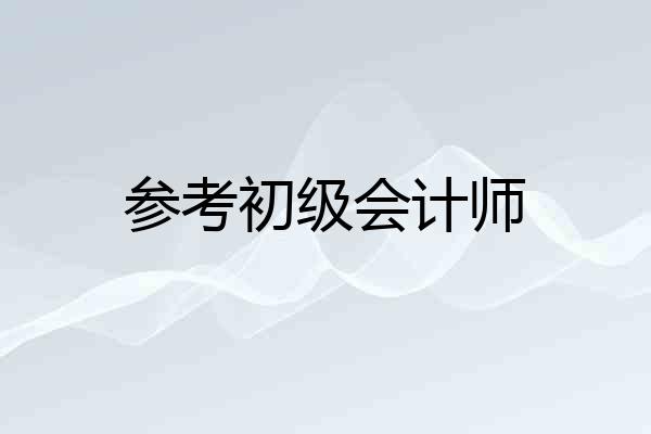 参考初级会计师