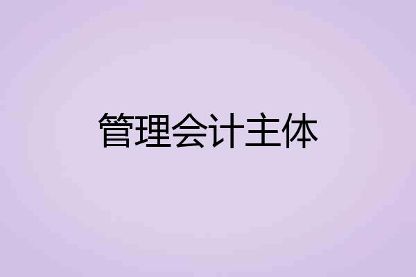 管理会计主体