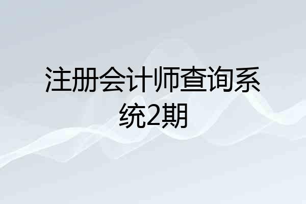 注册会计师查询系统2期