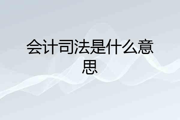 会计司法是什么意思