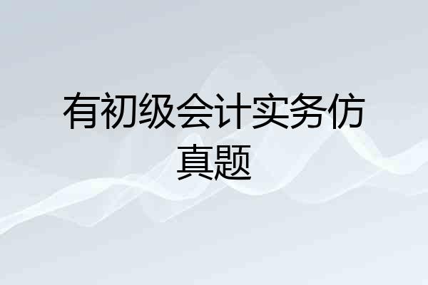 有初级会计实务仿真题