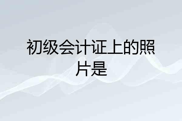 初级会计证上的照片是