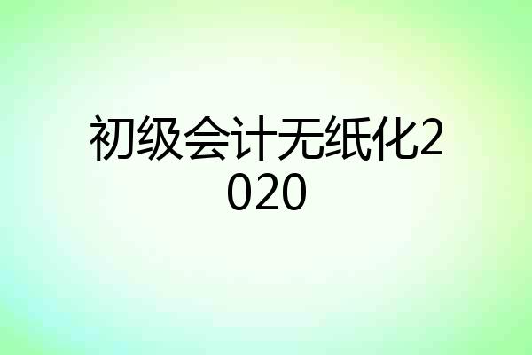 初级会计无纸化2020