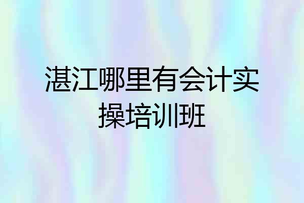 湛江哪里有会计实操培训班