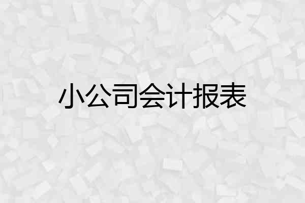 小公司会计报表