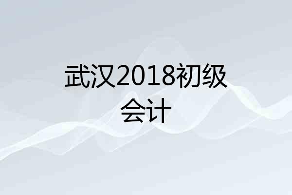 武汉2018初级会计