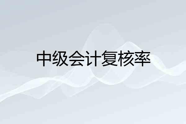 中级会计复核率