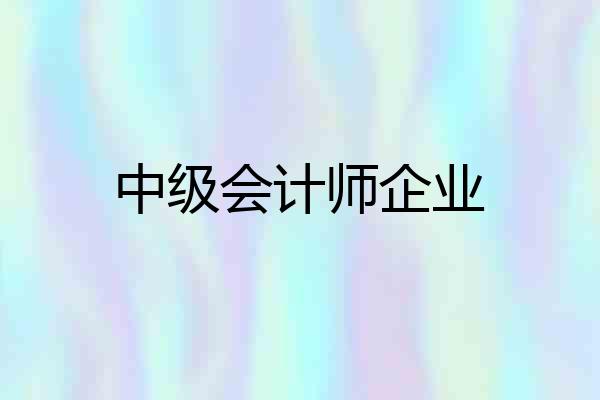 中级会计师企业