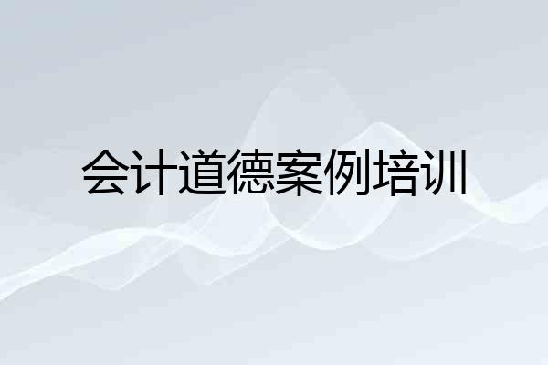 会计道德案例培训