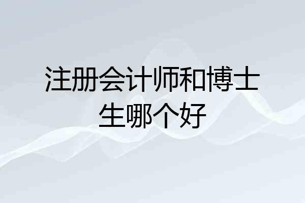 注册会计师和博士生哪个好
