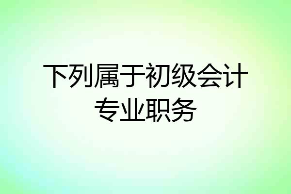 下列属于初级会计专业职务