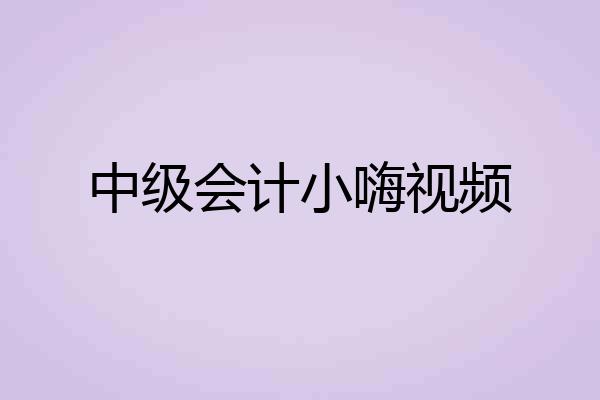 中级会计小嗨视频