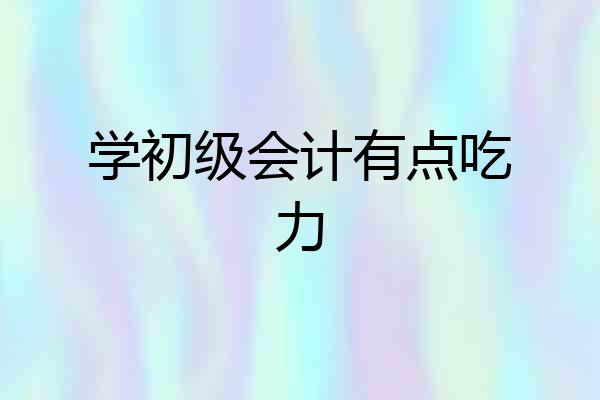 学初级会计有点吃力