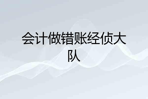 会计做错账经侦大队