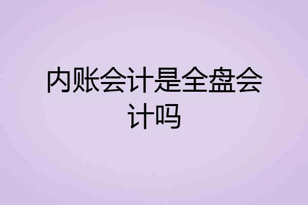 内账会计是全盘会计吗