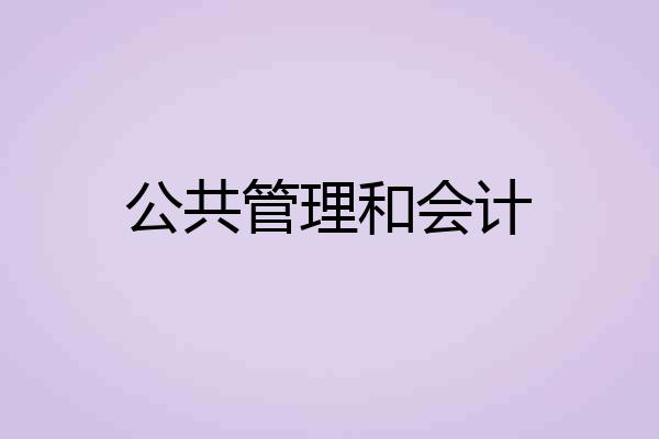 公共管理和会计