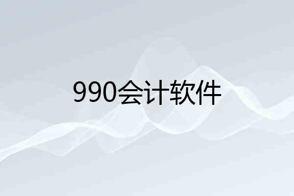 990会计软件
