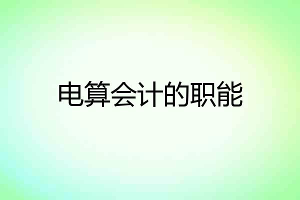 电算会计的职能