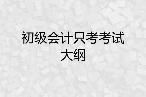 初级会计只考考试大纲