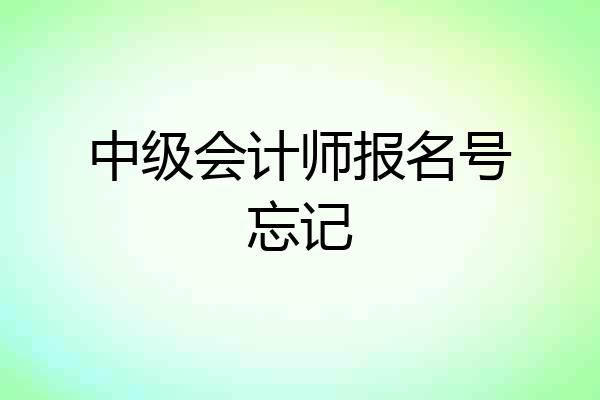 中级会计师报名号忘记