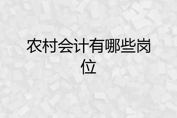 农村会计有哪些岗位
