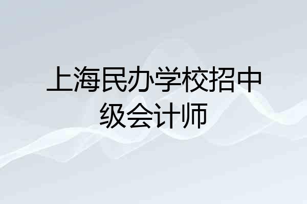 上海民办学校招中级会计师