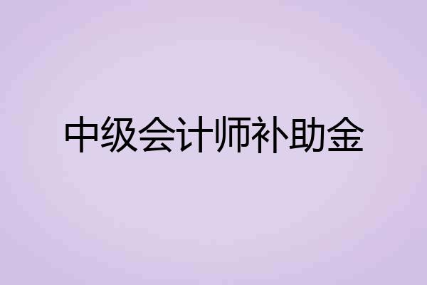 中级会计师补助金