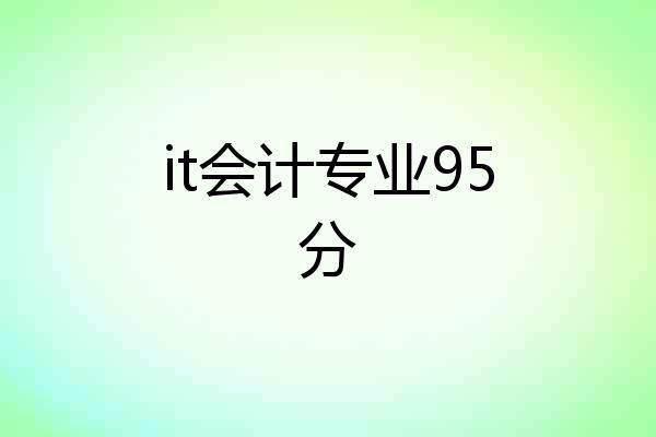 it会计专业95分