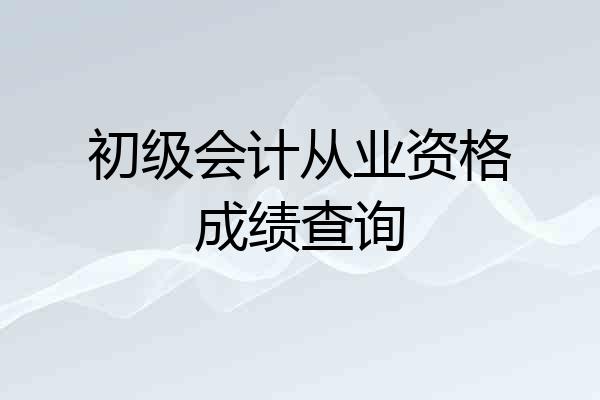 初级会计从业资格成绩查询