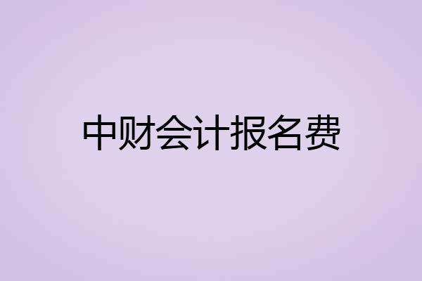 中财会计报名费
