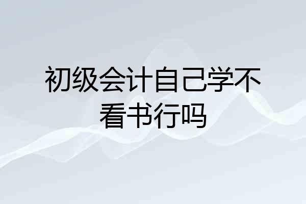 初级会计自己学不看书行吗