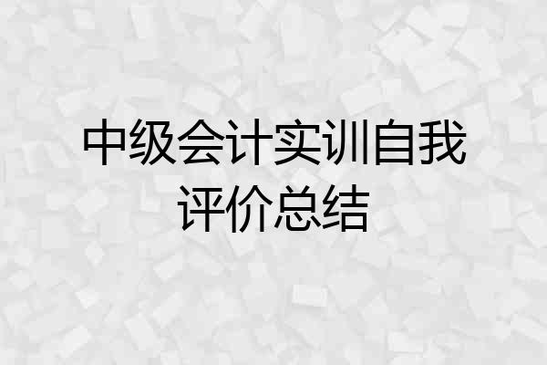中级会计实训自我评价总结