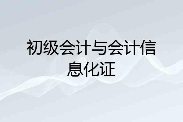 初级会计与会计信息化证