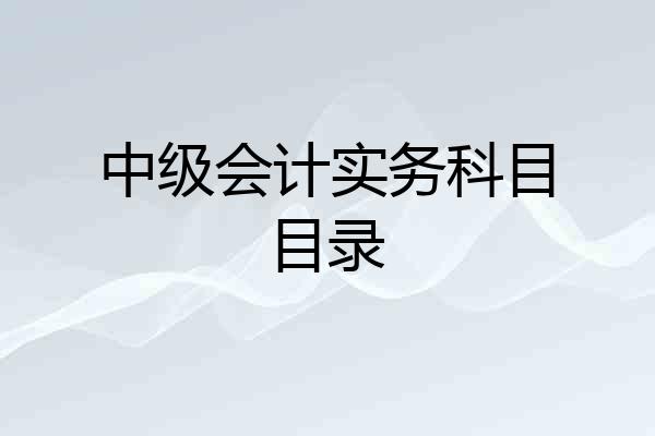 中级会计实务科目目录
