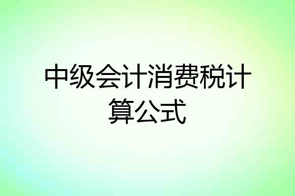 中级会计消费税计算公式