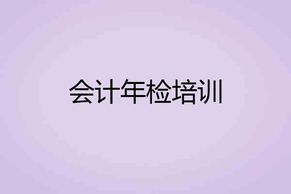会计年检培训