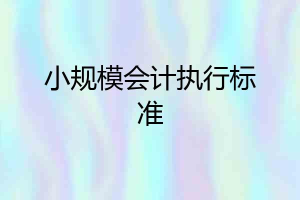 小规模会计执行标准
