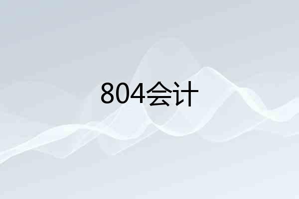 804会计
