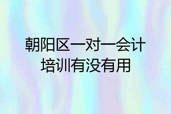 朝阳区一对一会计培训有没有用