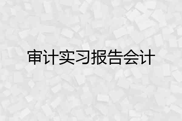 审计实习报告会计