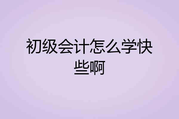 初级会计怎么学快些啊