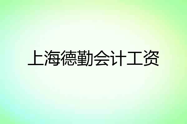 上海德勤会计工资