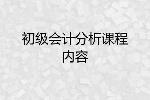 初级会计分析课程内容