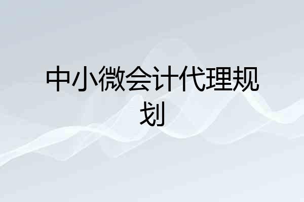 中小微会计代理规划