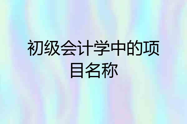 初级会计学中的项目名称