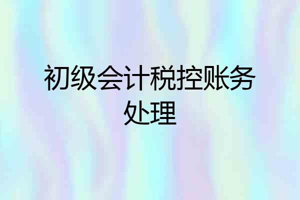 初级会计税控账务处理