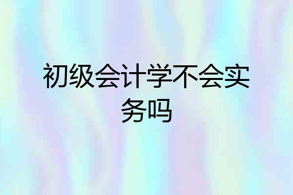 初级会计学不会实务吗